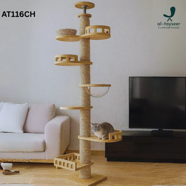 The Stillness Studio