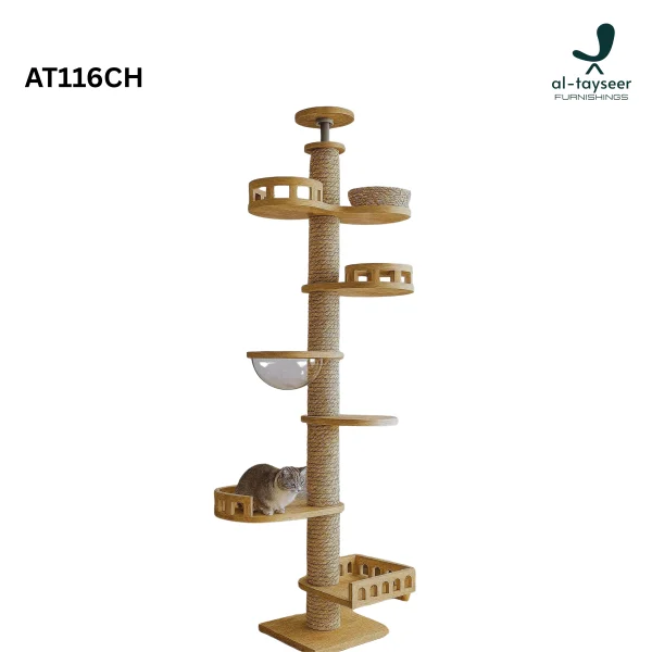 The Stillness Studio